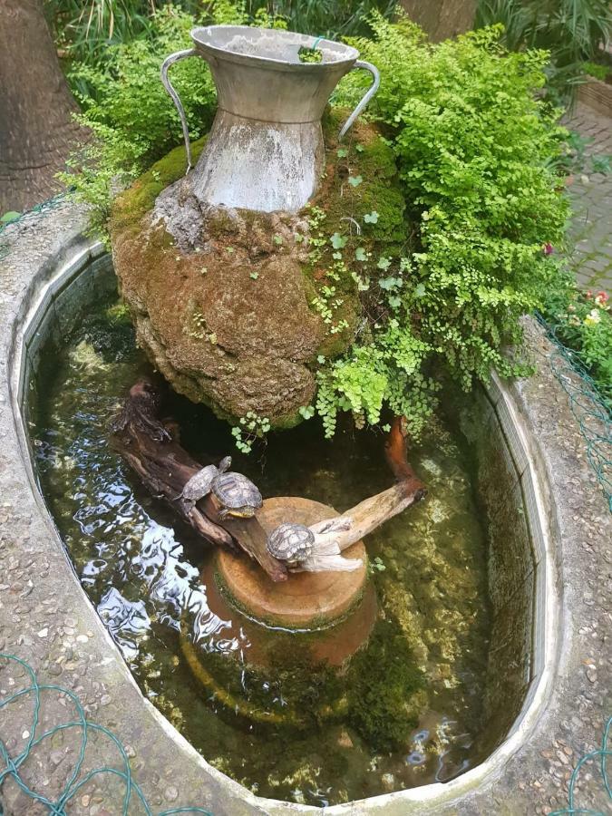 ホステル ピンク フロイド ローマ エクステリア 写真